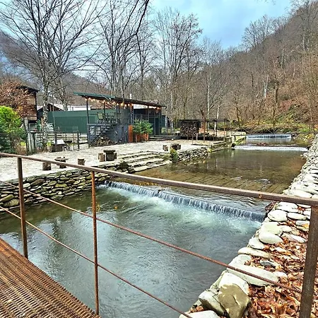 Wow дача Sasivka