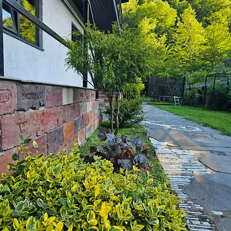 Wow дача та Soloma House