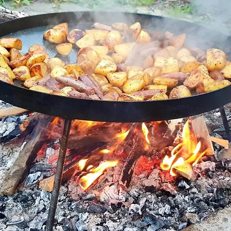 فيلة 